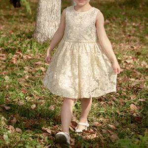 Peaches Petal  Embroidered Lace Rhinestone Champagne Dress Size 18-24 Months